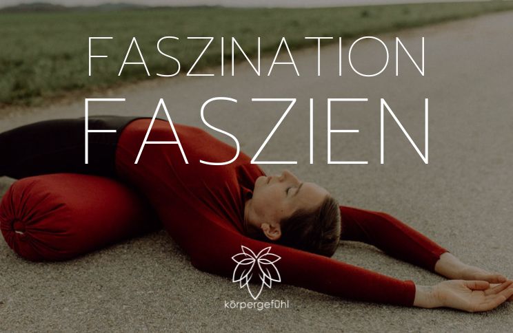 Ausbildung Faszien Yin Yoga