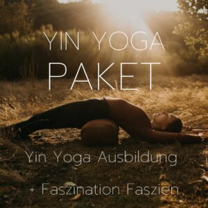 yin yoga ausbildungspaket