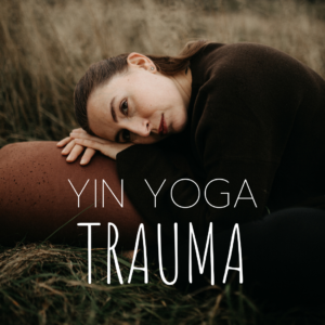 yin yoga kurs um trauma körperlich zu bearbeiten