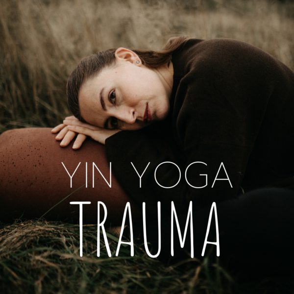 yin yoga kurs um trauma körperlich zu bearbeiten