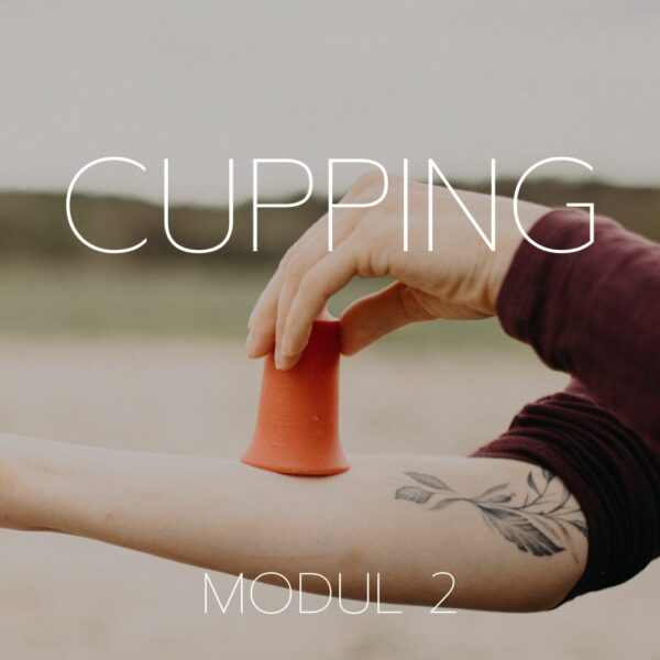 Modul 2 der Cupping Fortbildung