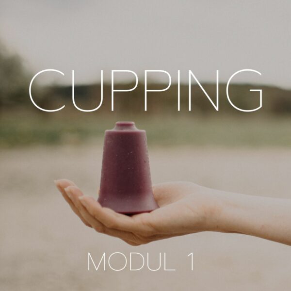 Modul 1 der Cupping Fortbildung