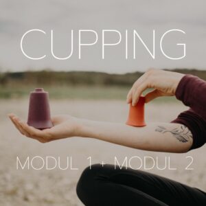 Cupping Ausbildung online