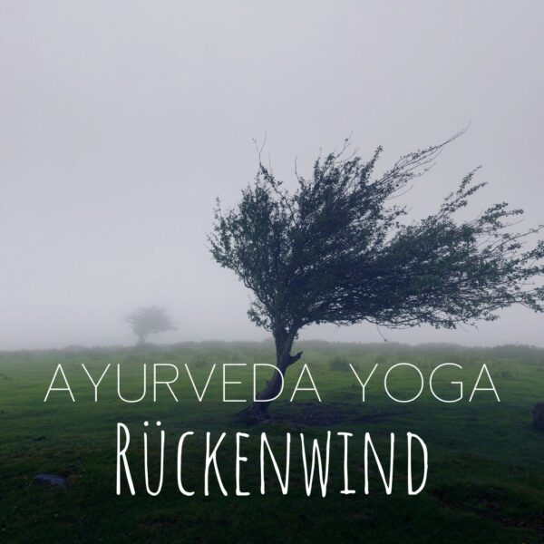 ayurveda yoga einheit rückenwind