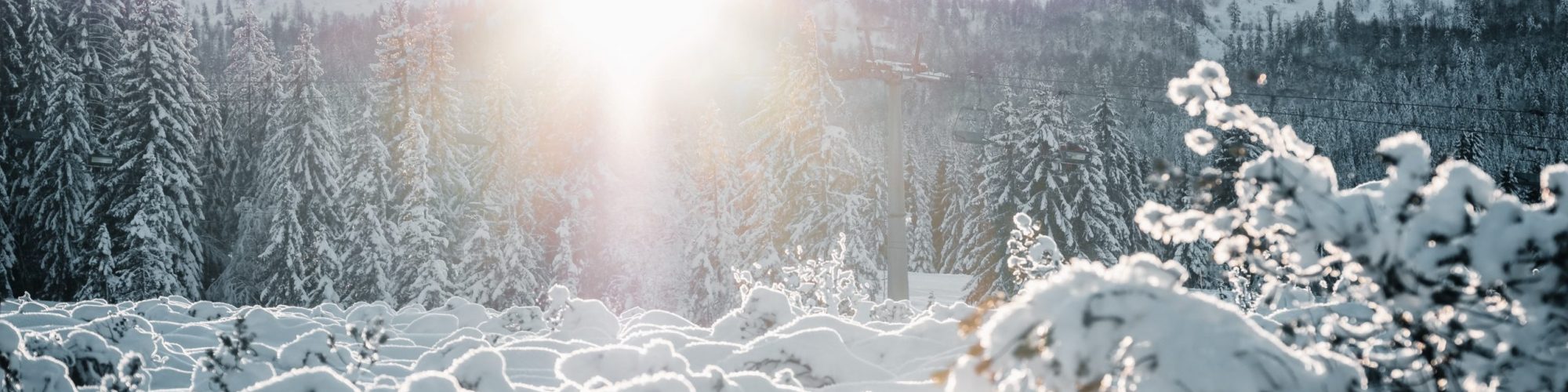 yoga-retreat-bayern yoga-retreat-bayern